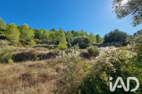 Land zum Verkauf in El Pinell de Brai, Tarragona, Spanien 12207 m2 Nr. 196565 - Foto 7
