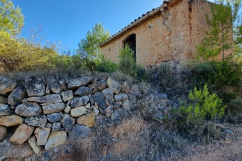 Land zum Verkauf in El Pinell de Brai, Tarragona, Spanien 12207 m2 Nr. 196565 - Foto 13