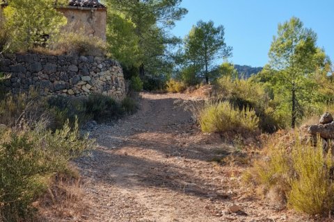 Land zum Verkauf in El Pinell de Brai, Tarragona, Spanien 12207 m2 Nr. 196565 - Foto 15