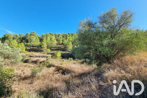 Land zum Verkauf in El Pinell de Brai, Tarragona, Spanien 12207 m2 Nr. 196565 - Foto 8
