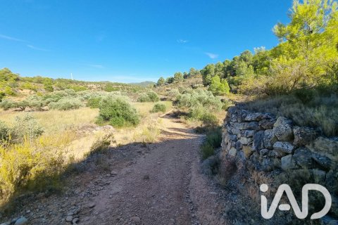 Land zum Verkauf in El Pinell de Brai, Tarragona, Spanien 12207 m2 Nr. 196565 - Foto 6