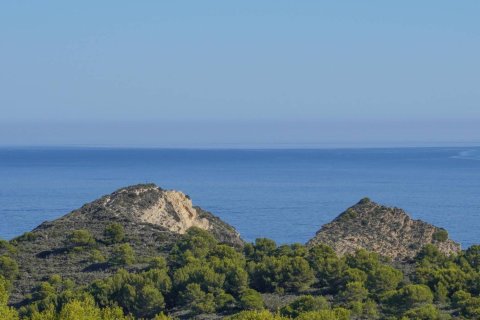 Duplex for sale in Javea, Alicante, Spain 3 bedrooms, 118 sq.m. No. 180067 - photo 13