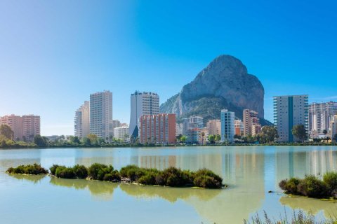 Apartment for sale Calpe, Alicante, Spain 2 bedrooms, 59 sq.m. No. 135097 - photo 11