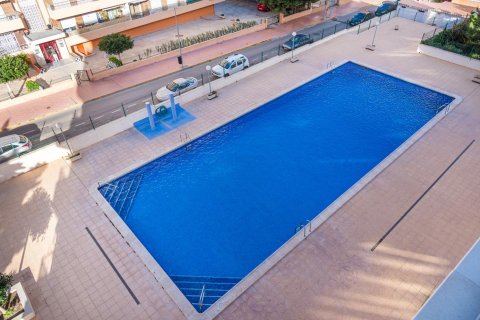 Продажа квартиры в Пунта Прима, Аликанте, Испания 2 спальни, 70м2 №190273 - фото 20