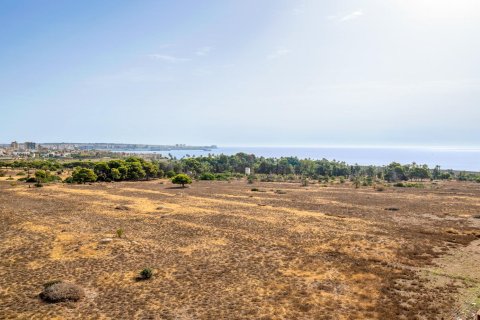 Продажа квартиры в Пунта Прима, Аликанте, Испания 2 спальни, 70м2 №190273 - фото 27