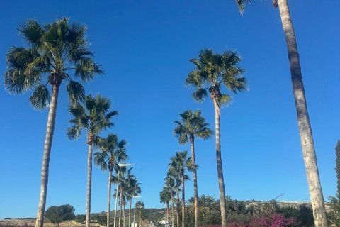 Huvila myytävänä Algorfa, Alicante, Espanja, 4 makuuhuonetta, 318 m2 No. 190268 - kuva 18