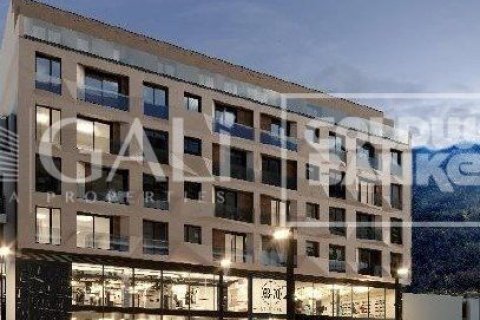 Liikekiinteistö Principado De Andorra (Ninguna Poblacion Tiene C.P.), Lleida, Espanja 362 m2 No. 178417