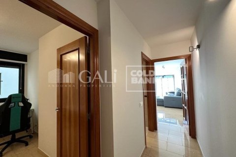 Lägenhet för uthyrning i Principado De Andorra (Ninguna Poblacion Tiene C.P.), Lleida, Spanien 2 sovrum, 75 kvm. Nr. 178412 - foto 10