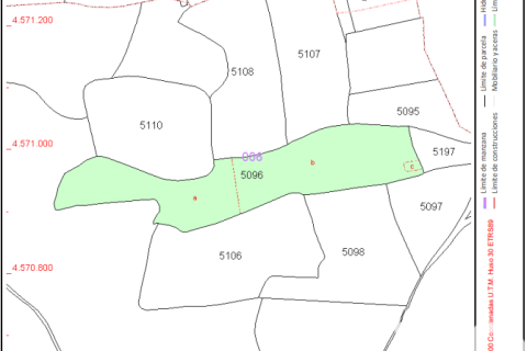 Land zum Verkauf in Medina del Campo, Valladolid, Spanien 82000 m2 Nr. 196642 - Foto 5