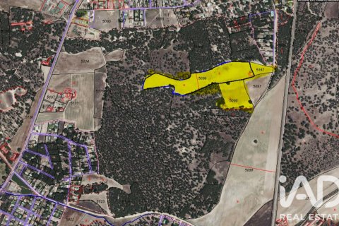 Land zum Verkauf in Medina del Campo, Valladolid, Spanien 82000 m2 Nr. 196642 - Foto 2