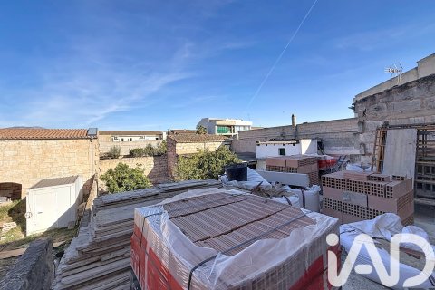 Villa à vendre à Sa Pobla, Mallorca, Espagne, 3 chambres, 200 m2 No. 173066 - photo 16