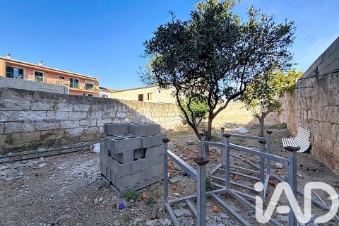 Villa à vendre à Sa Pobla, Mallorca, Espagne, 3 chambres, 200 m2 No. 173066 - photo 18
