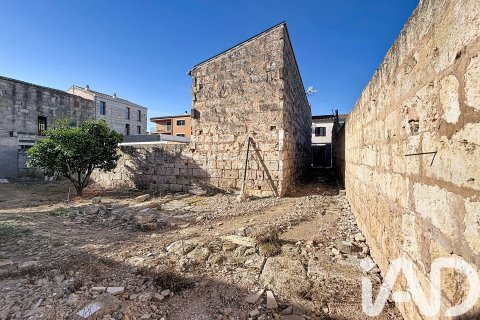 Villa à vendre à Sa Pobla, Mallorca, Espagne, 3 chambres, 200 m2 No. 173066 - photo 19