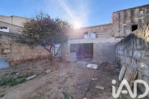 Villa à vendre à Sa Pobla, Mallorca, Espagne, 3 chambres, 200 m2 No. 173066 - photo 4