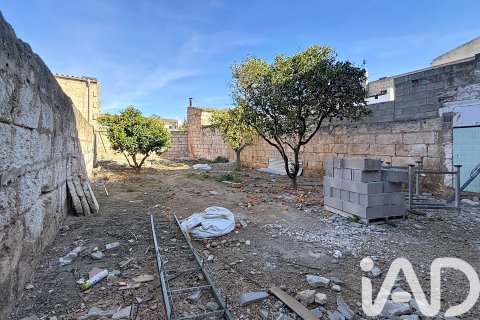 Villa à vendre à Sa Pobla, Mallorca, Espagne, 3 chambres, 200 m2 No. 173066 - photo 17