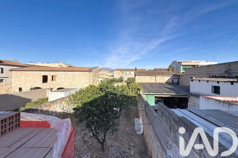 Villa à vendre à Sa Pobla, Mallorca, Espagne, 3 chambres, 200 m2 No. 173066 - photo 15