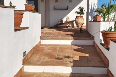 Działka w Ecija, Seville, Hiszpania 800 mkw. nr 173063 – zdjęcie 10