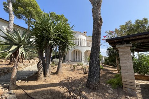 Willa w Costa D'en Blanes, Mallorca, Hiszpania 3 sypialnie, 168 mkw. nr 143994 – zdjęcie 18