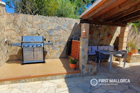 Villa īrēšanai El Toro, Mallorca, Spānijā 3 istabas, 162 m2 Nr. 172043 - attēls 25