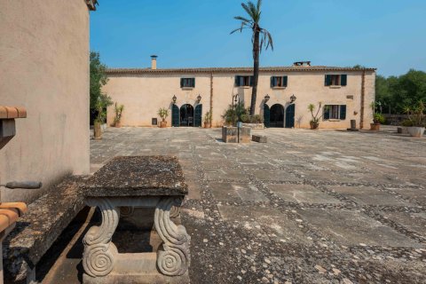 Finca in vendita a Santanyi, Mallorca, Spagna 17 camere da letto, 1216 mq. N° 172045 - foto 10