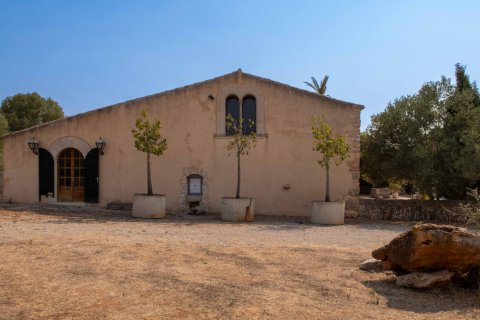 Finca in vendita a Santanyi, Mallorca, Spagna 17 camere da letto, 1216 mq. N° 172045 - foto 29
