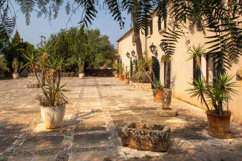 Finca a Santanyi, Mallorca, Spagna 17 camere da letto, 1216 mq. N° 172045