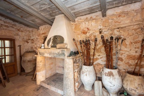 Finca in vendita a Santanyi, Mallorca, Spagna 17 camere da letto, 1216 mq. N° 172045 - foto 7