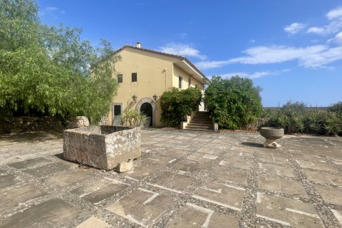 Finca in vendita a Santanyi, Mallorca, Spagna 17 camere da letto, 1216 mq. N° 172045 - foto 5