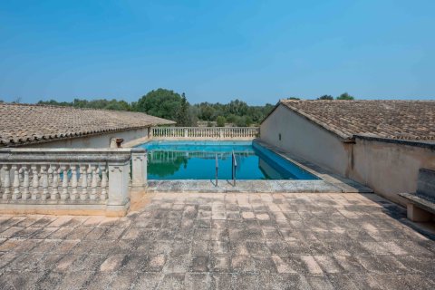 Finca in vendita a Santanyi, Mallorca, Spagna 17 camere da letto, 1216 mq. N° 172045 - foto 2