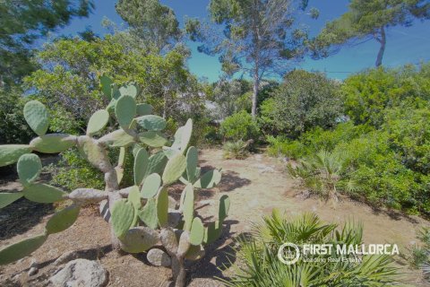 Villa īrēšanai Cala Ratjada, Mallorca, Spānijā 4 istabas, 234 m2 Nr. 172048 - attēls 26