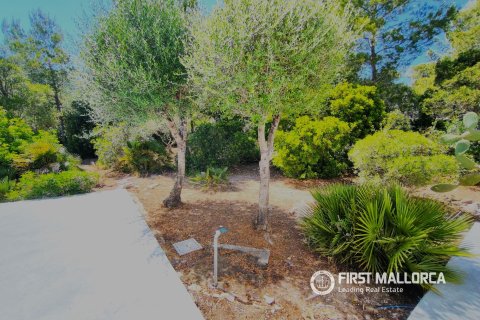 Villa īrēšanai Cala Ratjada, Mallorca, Spānijā 4 istabas, 234 m2 Nr. 172048 - attēls 27