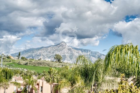 House for sale in Marbella, Malaga, Spain 3 bedrooms, 217 sq.m. No. 157147 - photo 30