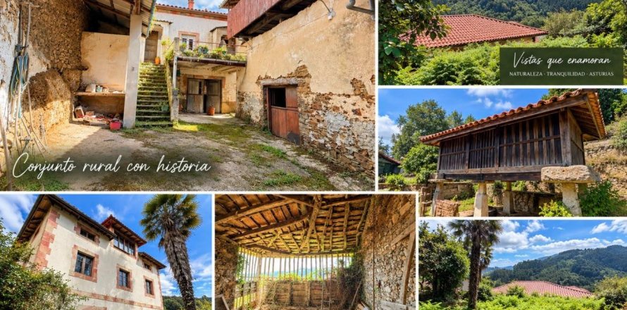House à Salas, Asturias, Espagne 5 chambres,  No. 196292