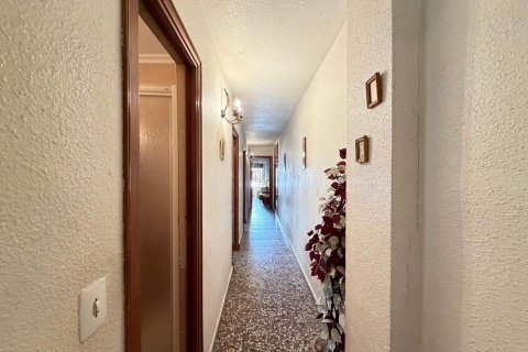 Dzīvoklis pārdošanā Torrevieja, Alicante, Spānijā 3 istabas, 103 m2 Nr. 196290 - attēls 14