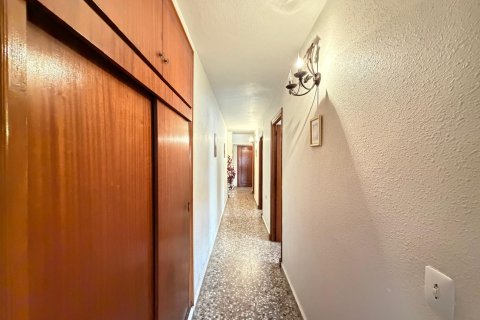 Dzīvoklis pārdošanā Torrevieja, Alicante, Spānijā 3 istabas, 103 m2 Nr. 196290 - attēls 25