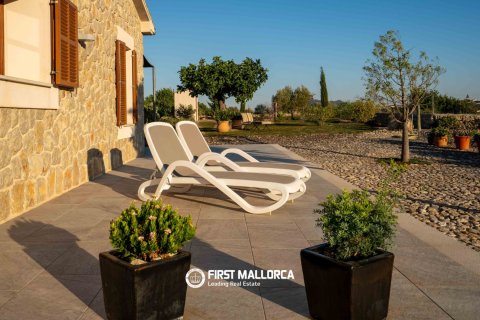 Finca for sale in Moscari, Mallorca, Spain 3 bedrooms, 166 sq.m. No. 181781 - photo 28