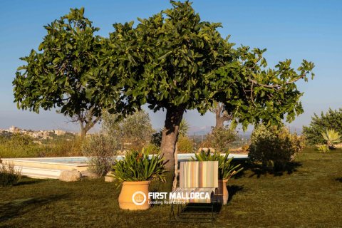 Finca for sale in Moscari, Mallorca, Spain 3 bedrooms, 166 sq.m. No. 181781 - photo 5