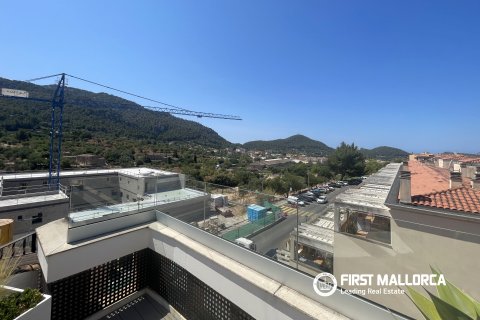 Kattohuoneisto myytävänä Andratx, Mallorca, Espanja, 3 makuuhuonetta, 179 m2 No. 181783 - kuva 17
