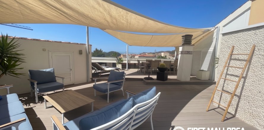 Kattohuoneisto Andratx, Mallorca, Espanja 3 makuuhuonetta, 179 m2 No. 181783