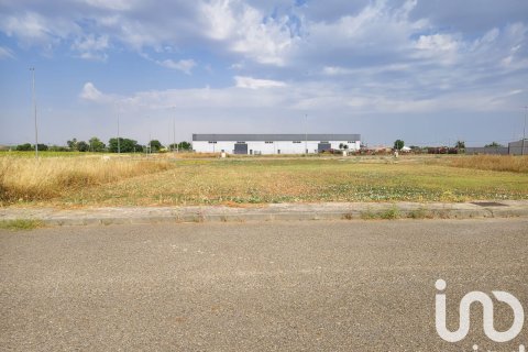 Terreno in vendita a Canada Rosal, Seville, Spagna 381 mq. N° 185799 - foto 3