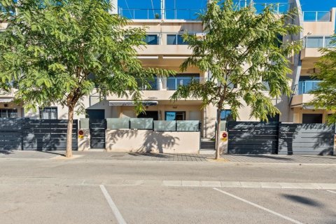 Apartament w Pilar de la Horadada, Alicante, Hiszpania 3 sypialnie, 82 mkw. nr 151811 – zdjęcie 19