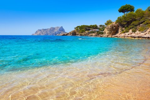 Bungalow en venta en Algorfa, Alicante, España 2 dormitorios, 74 m2 No. 143197 - foto 15