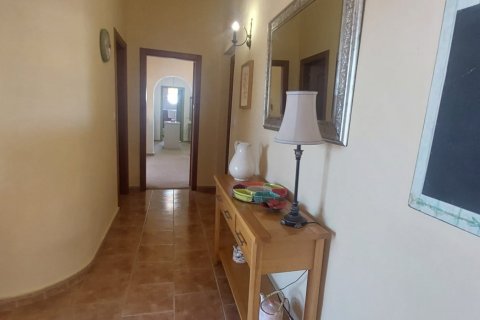 Māja pārdošanā Dolores, Alicante, Spānijā 3 istabas, 239 m2 Nr. 153585 - attēls 13