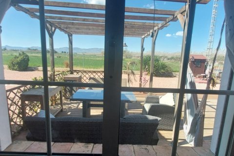 Māja pārdošanā Dolores, Alicante, Spānijā 3 istabas, 239 m2 Nr. 153585 - attēls 29