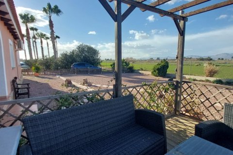 Māja pārdošanā Dolores, Alicante, Spānijā 3 istabas, 239 m2 Nr. 153585 - attēls 30