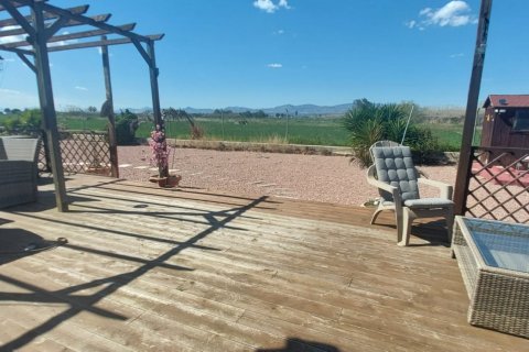 Māja pārdošanā Dolores, Alicante, Spānijā 3 istabas, 239 m2 Nr. 153585 - attēls 28