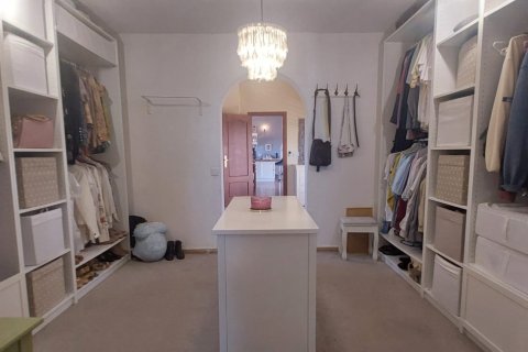 Māja pārdošanā Dolores, Alicante, Spānijā 3 istabas, 239 m2 Nr. 153585 - attēls 17