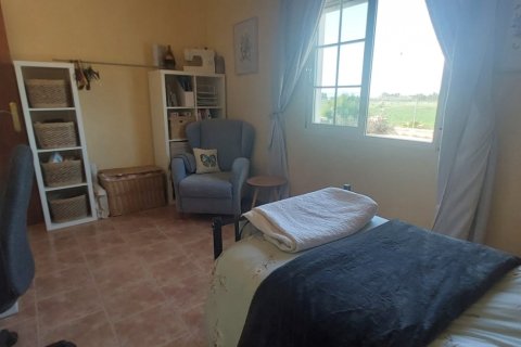 Māja pārdošanā Dolores, Alicante, Spānijā 3 istabas, 239 m2 Nr. 153585 - attēls 22