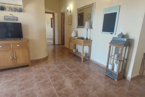 Māja pārdošanā Dolores, Alicante, Spānijā 3 istabas, 239 m2 Nr. 153585 - attēls 12