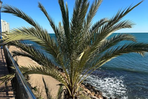 Appartamento in vendita a Punta Prima, Alicante, Spagna 2 camere da letto, 90 mq. N° 155376 - foto 29